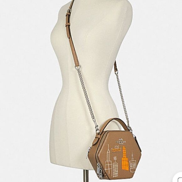 COACH X MICHEL JEAN BASQUIAT LIMITED EDITION  Hexagonal Crossbody bag nwt - Picture 10 of 16